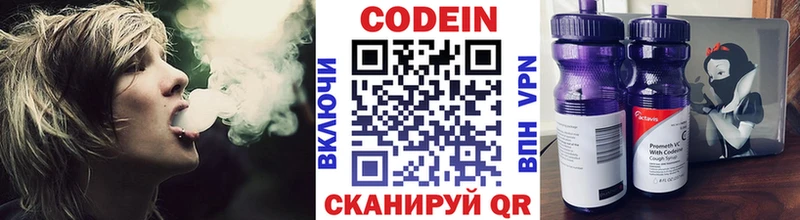 купить закладку  Чегем  Кодеин Purple Drank 